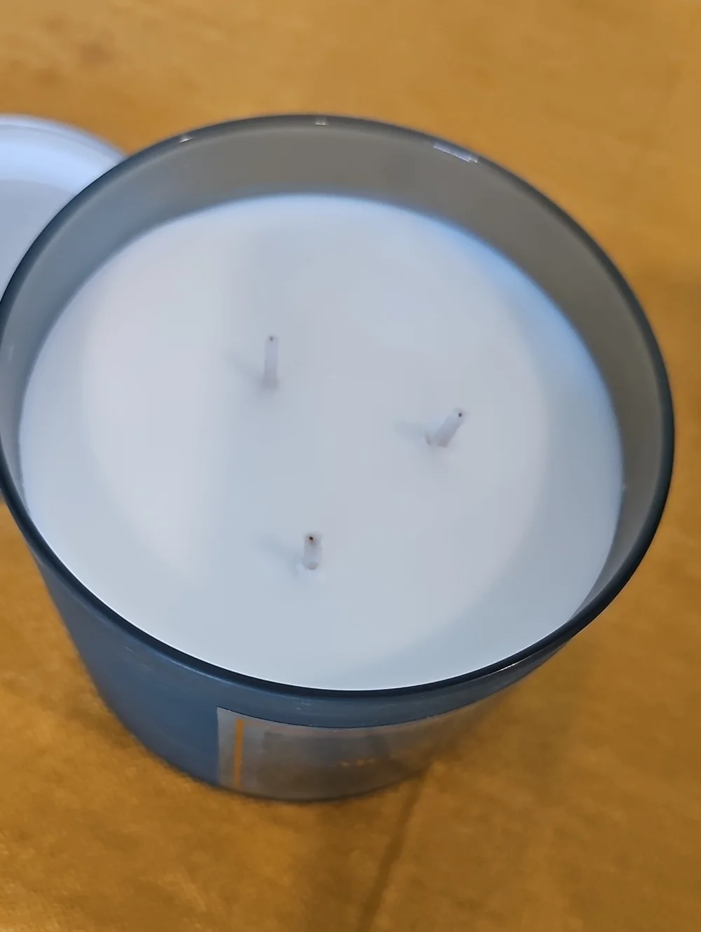 Distant Lands Moss & Bloom 3-Wick Scented Jar Candle NWT